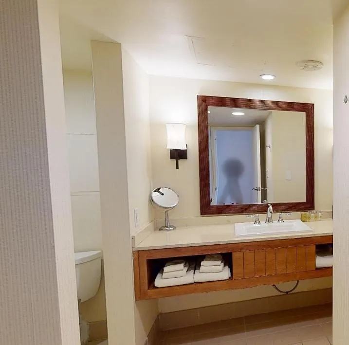 Tropicana Las Vegas A Doubletree By Hilton Resort & Casino - Free Parking 4*,  United States